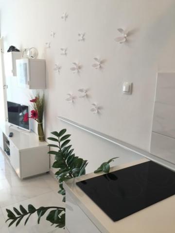Cute Studio-Great Location Zadar Exteriér fotografie